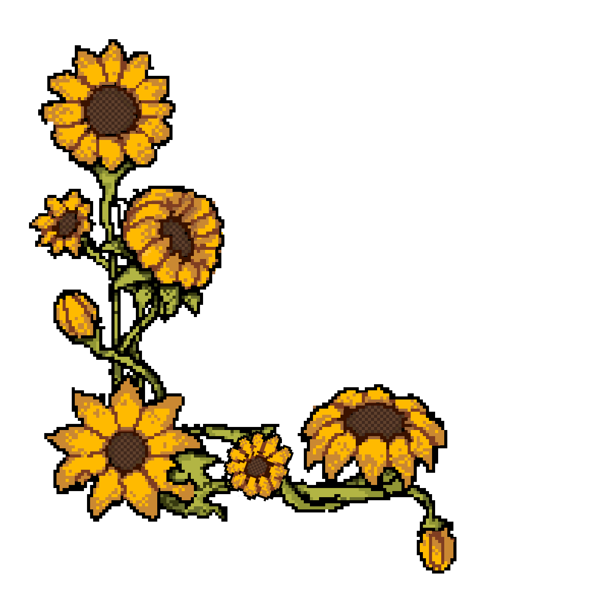 sunflowers
